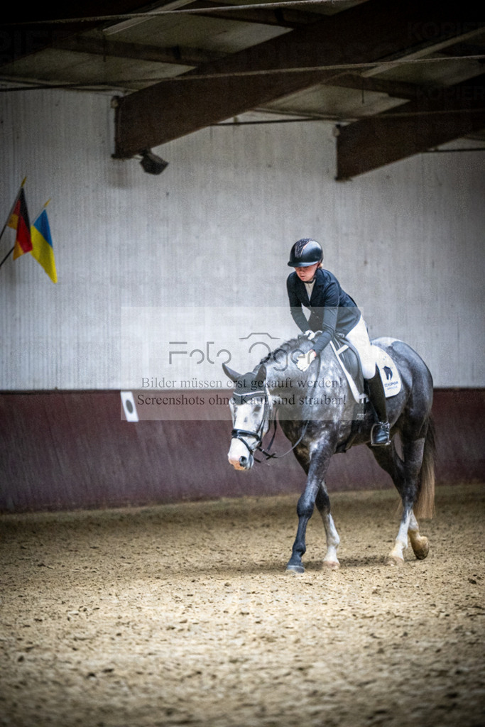 DOS_1183 | Reitturnier Lüdinghausen - Realisiert mit Pictrs.com