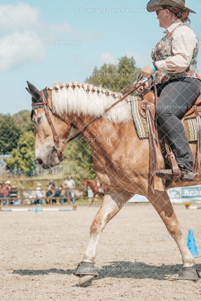 DSC00083 | ikphotography - Realisiert mit Pictrs.com