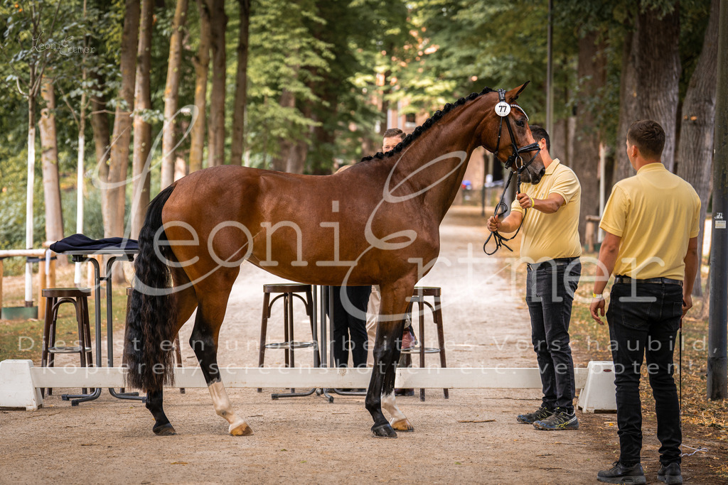 FrPfM00029 | Leoni Ertmer Photography - Realisiert mit Pictrs.com