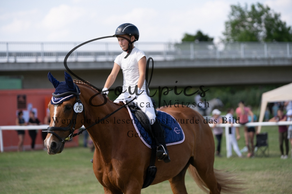 A7V00526 | Pferdefotograf