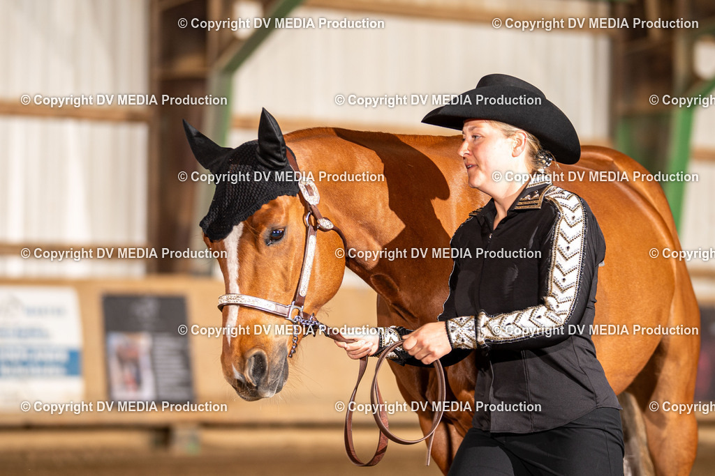 Balingen Tag 1-68 | dv-media-shop - Realisiert mit Pictrs.com