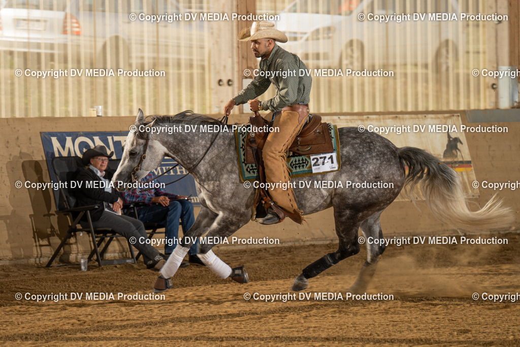 LAU01928 | dv-media-shop - Realisiert mit Pictrs.com