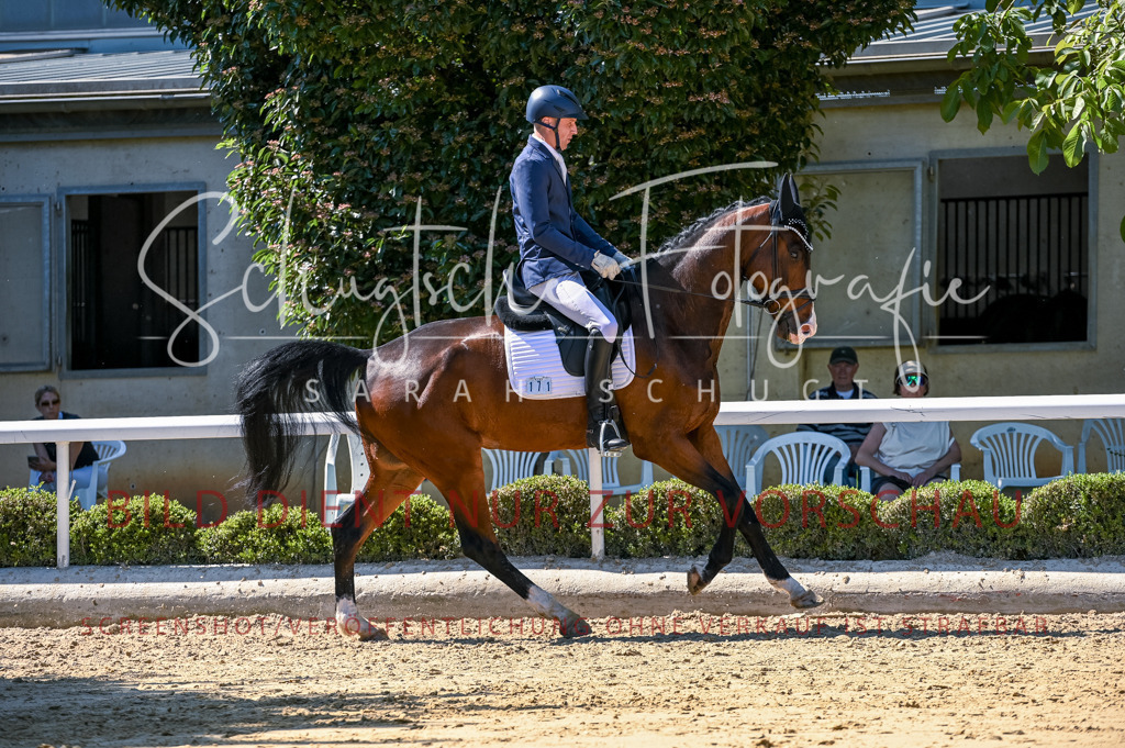 Schugtsche-Aluta25-50.Dressurpferdeprf.L-46 | Schugtsche Fotografie - Realisiert mit Pictrs.com