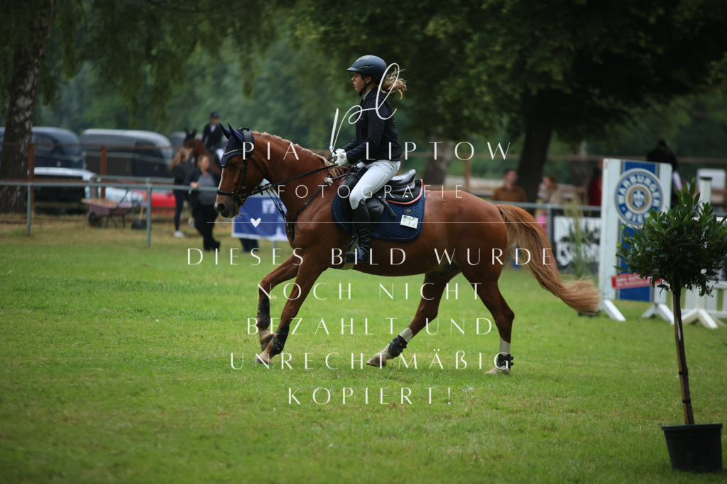 IMGM4897 | pl-fotografie