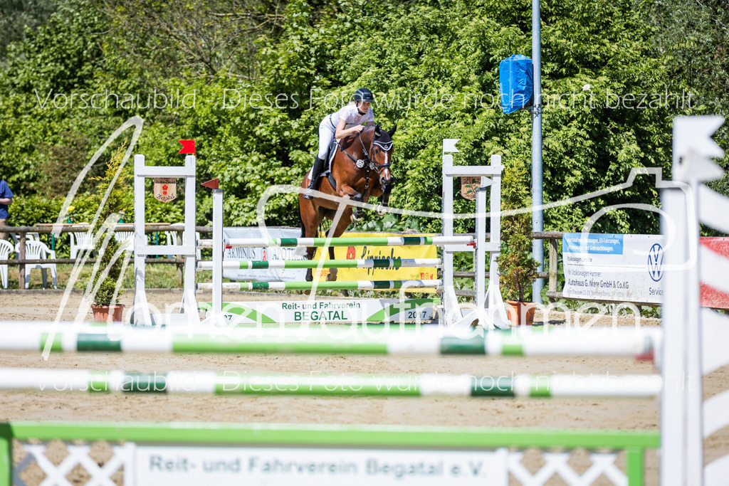 Donop24-Stil-L-013 | MomenTaufnahmen Pferdesportfotos