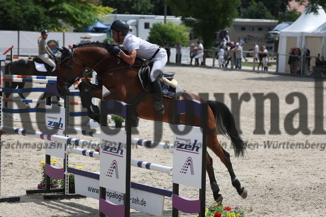 Weilheim_2023_Prfg.Nr.06-1_Springpferde_Kl.L_Mohamad Mogheeth Al Shehab_Commander Del Fogliano (1) | Alle Fotos der Reiterjournal Fotografin Doris Matthaes im Reiterjournal Online-Fotoshop. - Realisiert mit Pictrs.com