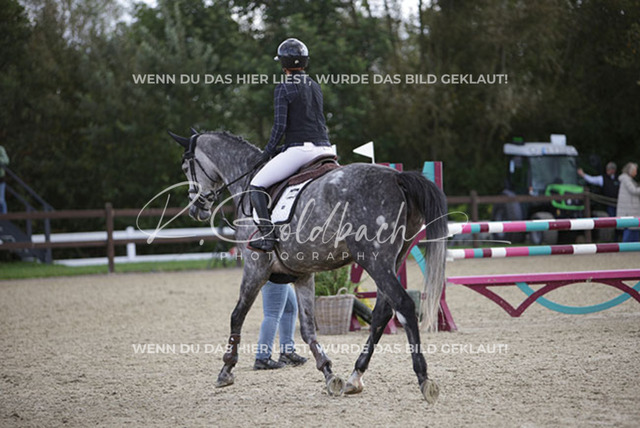 1J2A4697Antonia Selina Brinkop_ Drama Queen 6_ Kn414_ Havekost | Foto- und Videografie für alles rund ums Pferd. Hochwertige Bilder und Videos vom Spring- und Dressurreiten, Voltigieren & mehr. Jetzt aktuelle Veranstaltungen und Preise im Shop ansehen. - Realisiert mit Pictrs.com