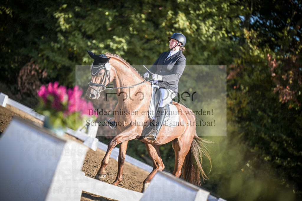 DOS_1250 | Entdecke hochwertige Reitturnierfotos von Foto Oger. Professionell, emotional und authentisch – jetzt Lieblingsmomente im Shop bestellen.Deutschlandweite Turnierfotografie. - Realisiert mit Pictrs.com