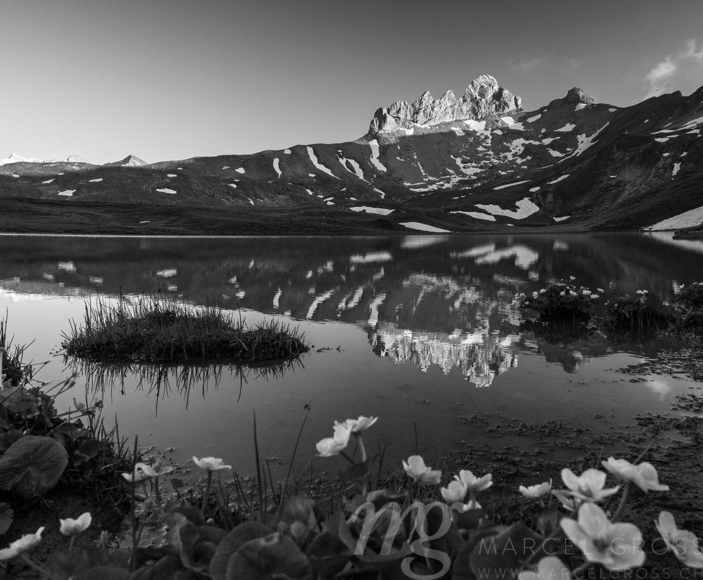 20230624-Zelten_Sulsseewli-0868 | Die ideale Geschenkidee für Naturliebhaber. Naturbilder von Marcel Gross Photography für ihr Zuhause in den verschiedensten Formaten und Materialien. - Realisiert mit Pictrs.com
