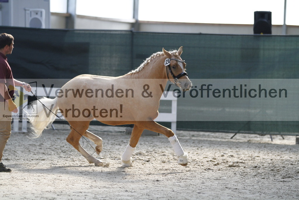 _MG_9734 | equestrian-live-com