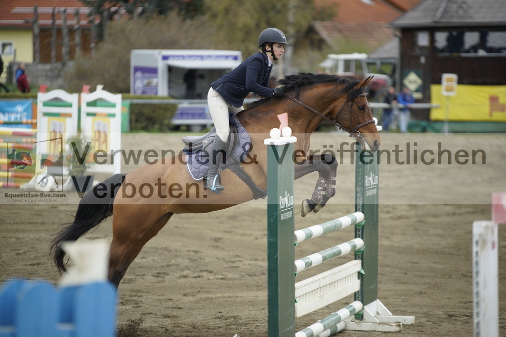 _DSC7377 | equestrian-live-com