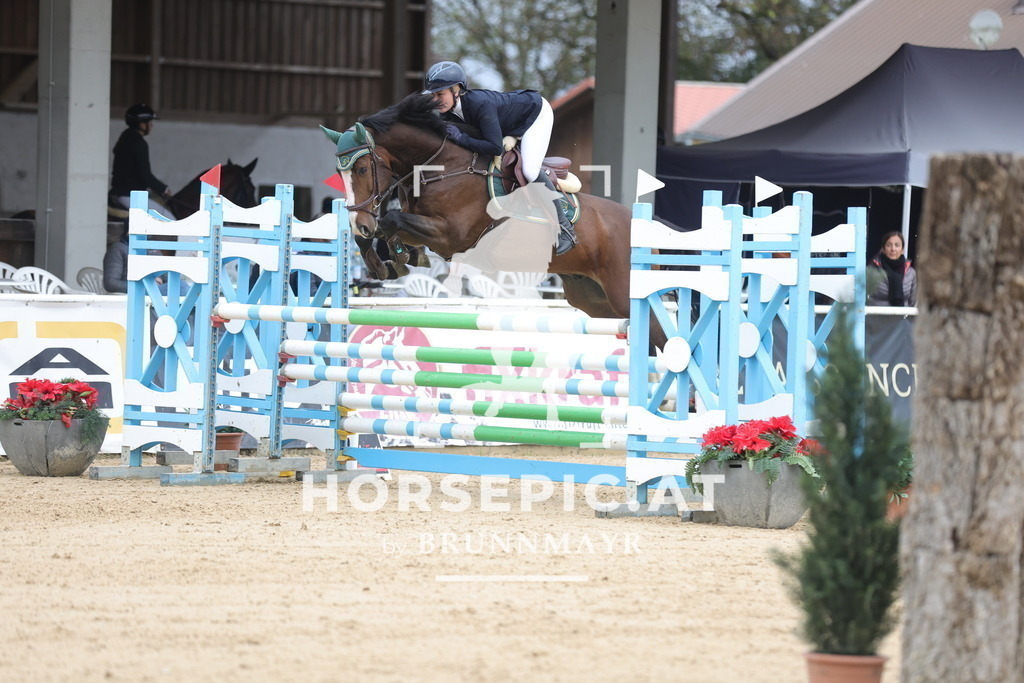 0P6A2756 | Willkommen bei Brunnmayr - Design & Fotografie – Ihrem Spezialisten für Reitturniere und Pferdeveranstaltungen in Oberösterreich, Salzburg und Bayern! Seit über 17 Jahren sind wir leidenschaftlich dabei.