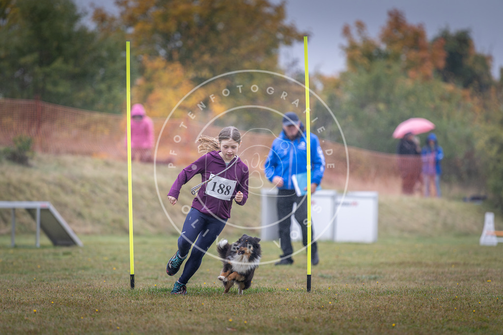 Pfotenfotografie_DV3A0193 | Hundefotografie, Tierfotograf, Pfotenfotografie, Fotoshooting Hund, Hunde Portrait, Hundesport, Hundeportraits, Heideshooting, Hunde, Sportfotograf, Hundefotograf, Turnierhundsport, THS,  - Realisiert mit Pictrs.com