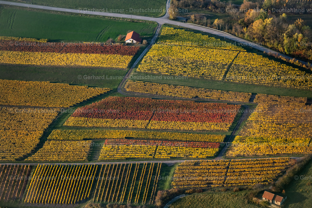 4042462 | Weinbergslandschaft an der Mainschleife bei Escherndorf und Nordheim