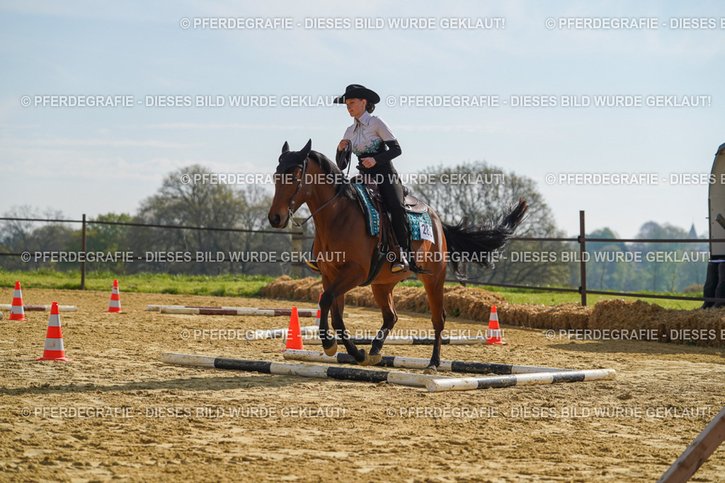 DSC01220 | Pferdegrafie