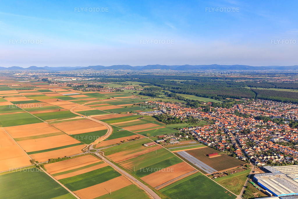 Luftbild: Ortsansicht von Osten in Bellheim im Bundesland Rheinland-Pfalz in Deutschland. Foto: IMG_120685.jpg vom 03.05.2020 durch Werner Riehm/FLY-FOTO.de