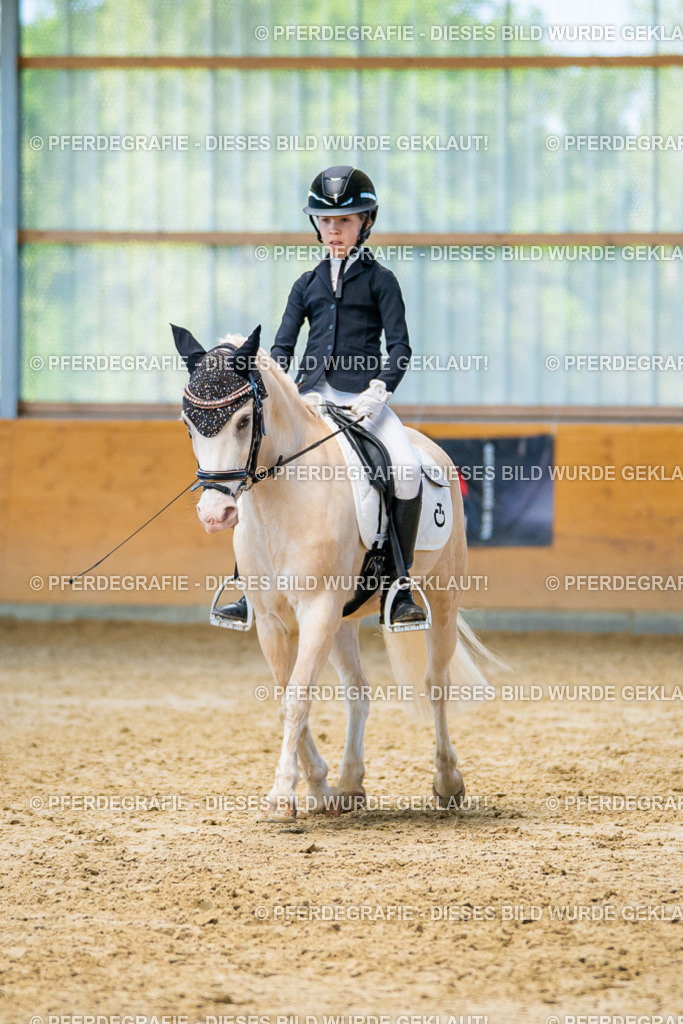 DSC07384 | Pferdegrafie