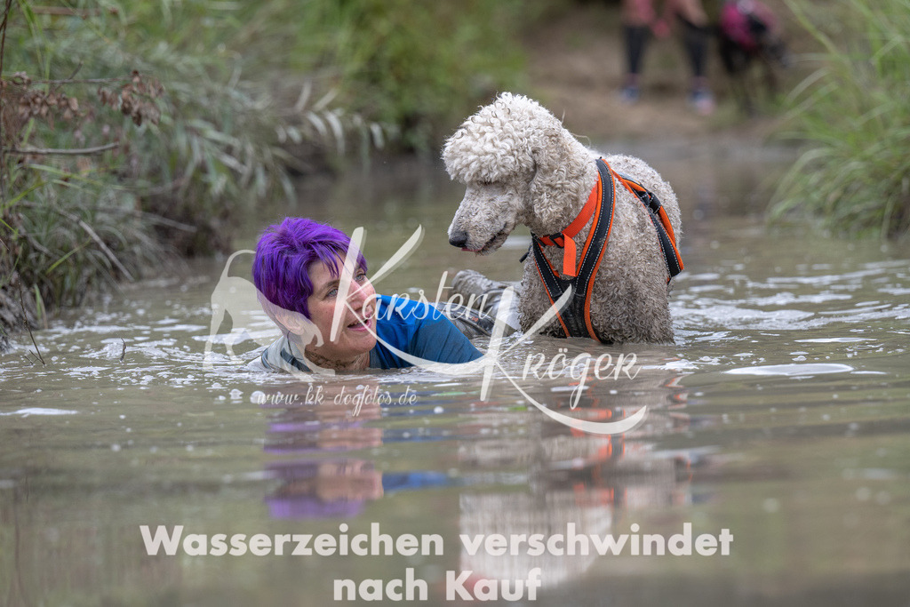 1226_ZZ98949 | kk-dogfotos