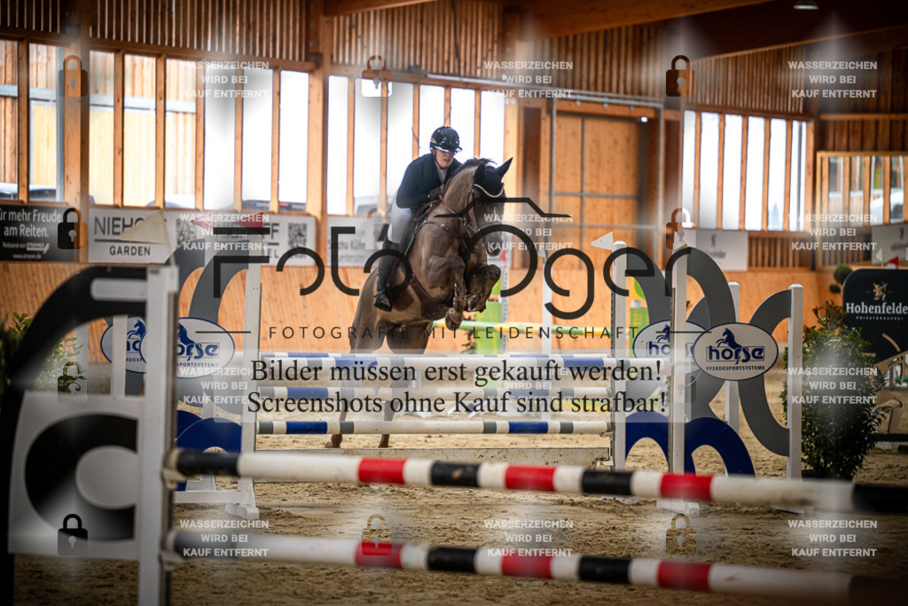 DOS_1695 | Entdecke hochwertige Reitturnierfotos von Foto Oger. Professionell, emotional und authentisch – jetzt Lieblingsmomente im Shop bestellen.Deutschlandweite Turnierfotografie. - Realisiert mit Pictrs.com