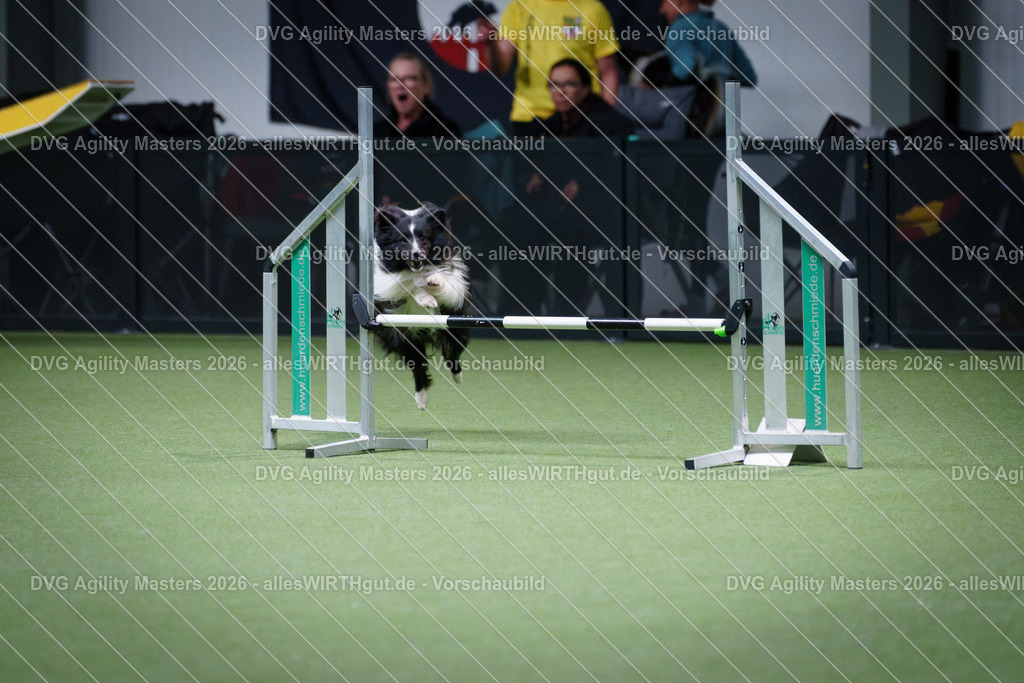 allesWIRTHgut_Tierfotografie-DVG_Agility_Masters_2026-14_30-7R504790 | Professionelle Tierfotografie in Mönchengladbach von Daniel Wirth (allesWIRTHgut). Liebevolle & natürliche Bilder von Hunden & Katzen für unvergessliche Erinnerungen.