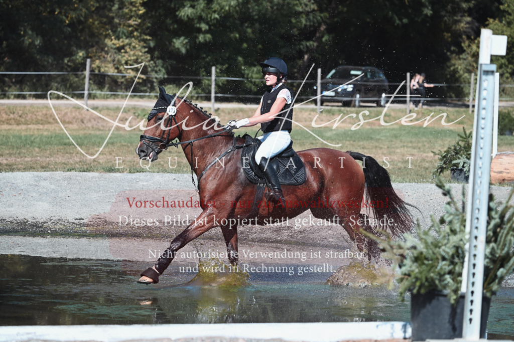 DSC_8609 | Pferde- und Turnierfotografie in Westsachsen. Pferdeportraits, Auftragszeichnungen und intuitive Kunst.