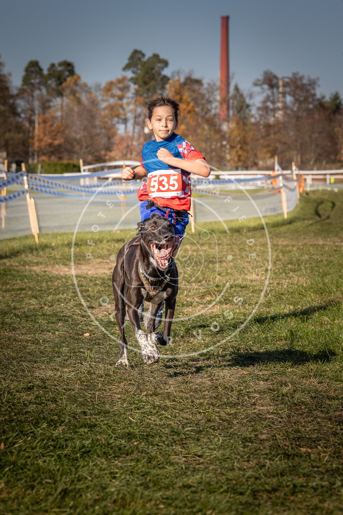 CaniXpix_0L8A7433 | Hundefotografie, Tierfotograf, Pfotenfotografie, Fotoshooting Hund, Hunde Portrait, Hundesport, Hundeportraits, Heideshooting, Hunde, Sportfotograf, Hundefotograf, Turnierhundsport, THS,  - Realisiert mit Pictrs.com