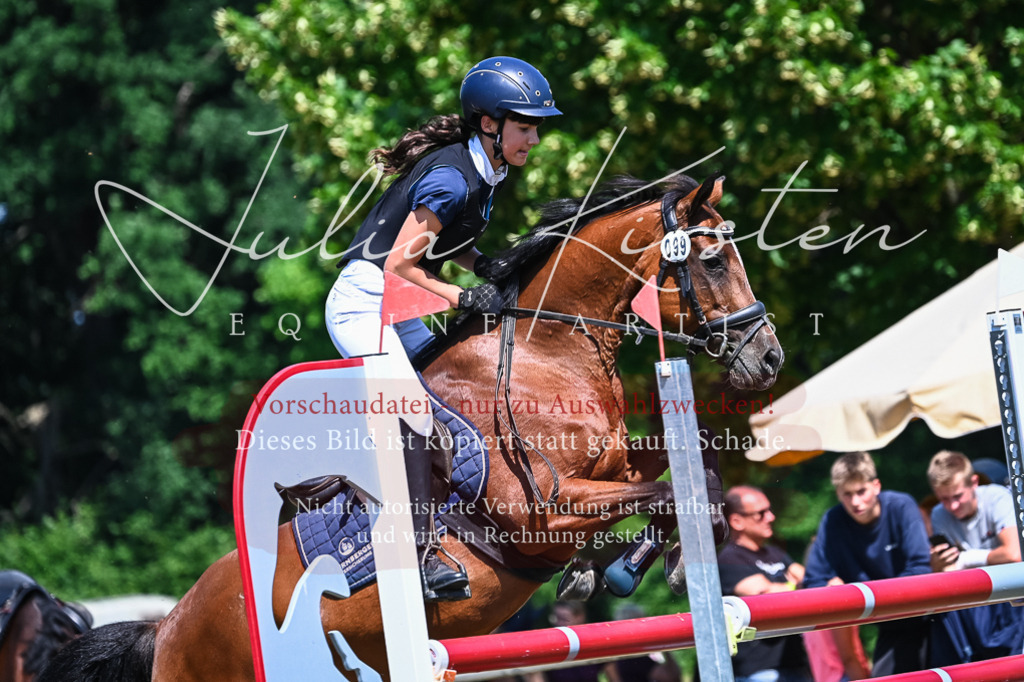 DSC_0928 | Pferde- und Turnierfotografie in Westsachsen. Pferdeportraits, Auftragszeichnungen und intuitive Kunst.