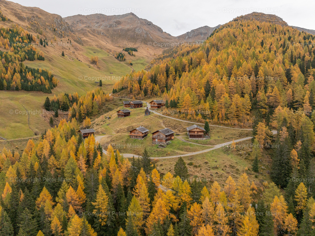 Kamelisenalm_Herbst_2023-34 | default