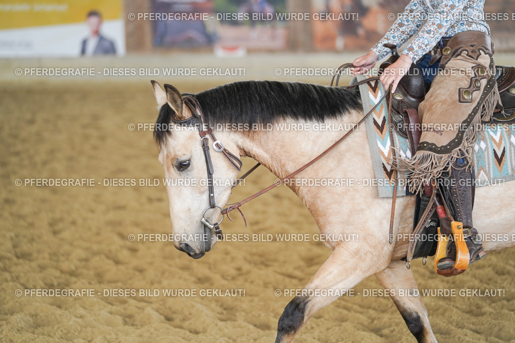 DSC06229 | Pferdegrafie