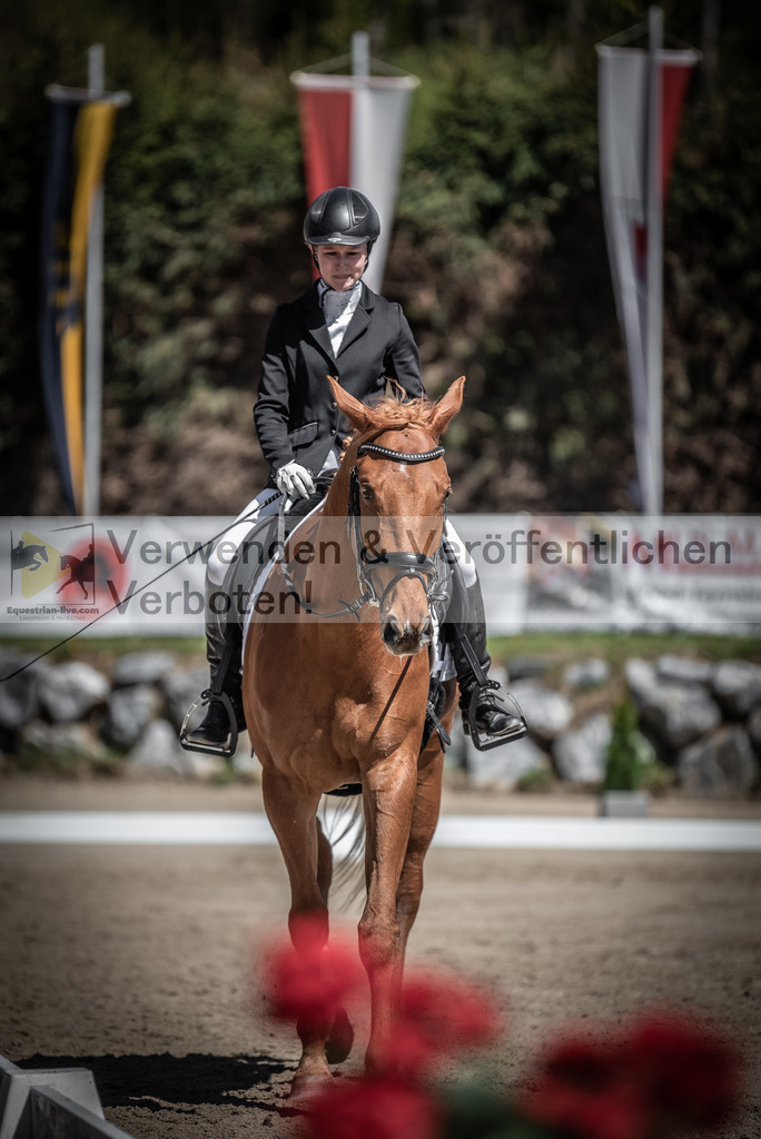 DSC_0138 | equestrian-live-com