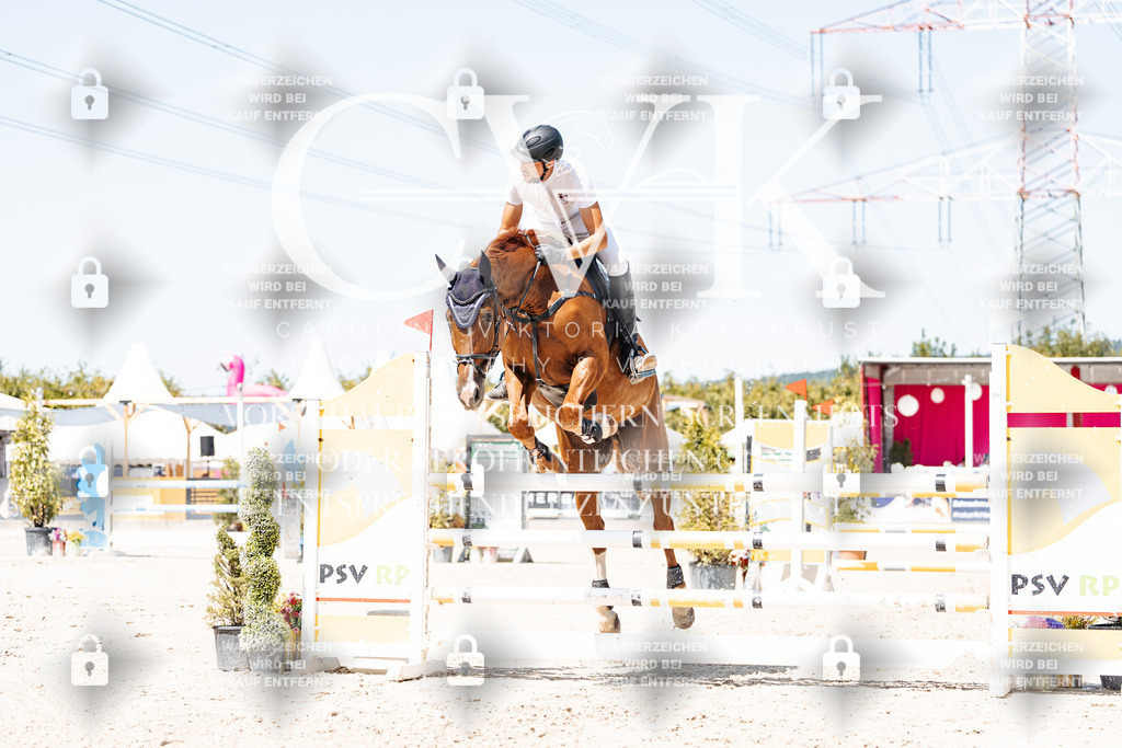 CK909807 | Turnierfotografie Pferdefotografie Trier Rheinland-Pfalz Pferdesport Reitsport Tierfotografie Sportfotografie Pferdevideo Pferdevideografie Equestrianvideography equestrianphotography  - Realisiert mit Pictrs.com