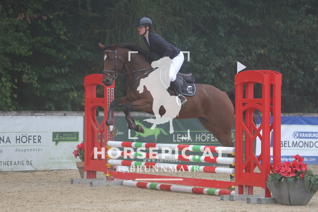 0P6A0491 | Willkommen bei Brunnmayr - Design & Fotografie – Ihrem Spezialisten für Reitturniere und Pferdeveranstaltungen in Oberösterreich, Salzburg und Bayern! Seit über 17 Jahren sind wir leidenschaftlich dabei.