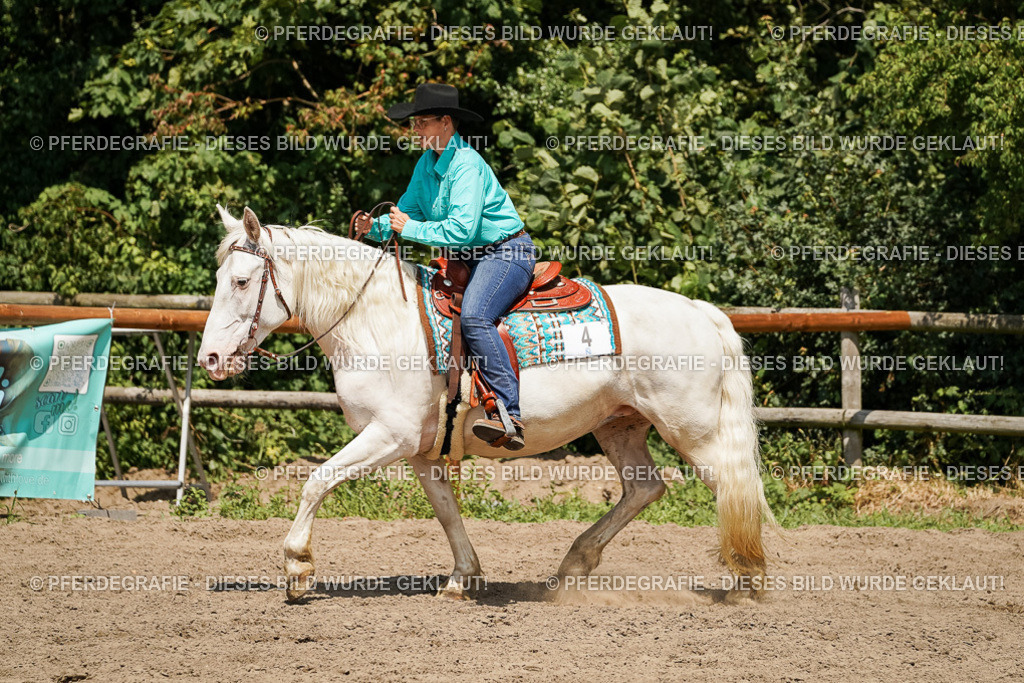 DSC09633 | Pferdegrafie