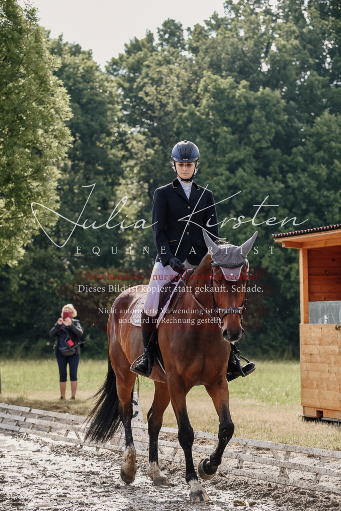 DSC_9012 | Pferde- und Turnierfotografie in Westsachsen. Pferdeportraits, Auftragszeichnungen und intuitive Kunst.