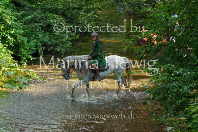 Jagd Perdoel_MarinaHewigMCH05137 | Fotografie, FotoArt, PferdesportArt, Pferdesportfotografie, Landschaftsfotografie, Reisefotografie, Reise, Pferde - Realisiert mit Pictrs.com