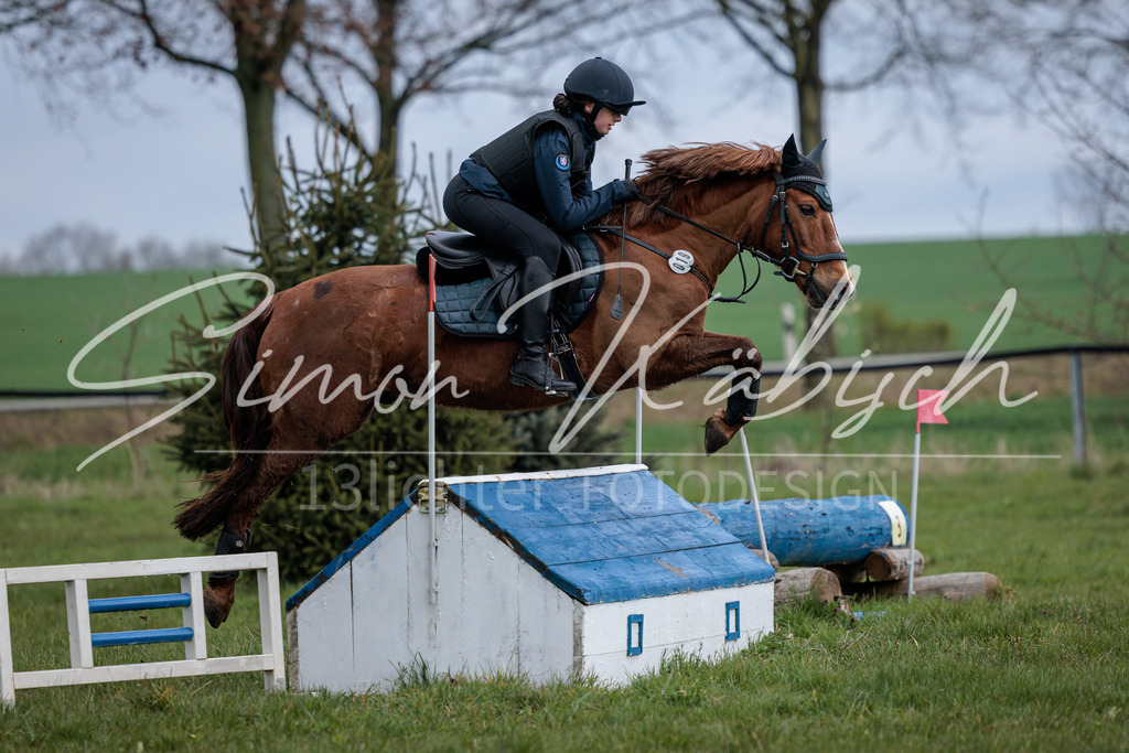 20260329-_3LI4462 | Tierfotografie Pferde, Hunde, Katzen, Haustiere.
Turnierfotografie Reitturniere, Reiten, Springreiten, Dressur in Hanau, dem Main-Kinzig-Kreis und dem Rhein-Main- Gebiet um Frankfurt