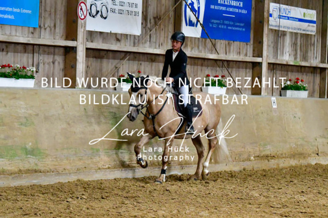 _DSC7488 | larahueckfotografie