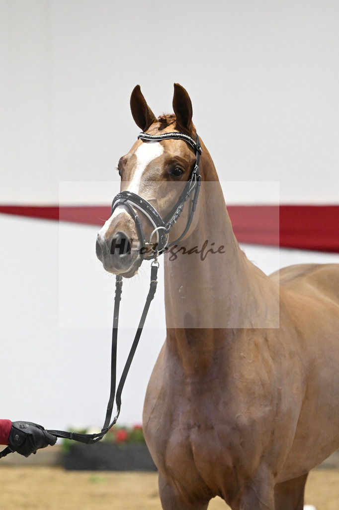 Kat-Nr. 48 v. Danone I_Mueller_63221233 | hf-fotografie - Realizzato con Pictrs.com