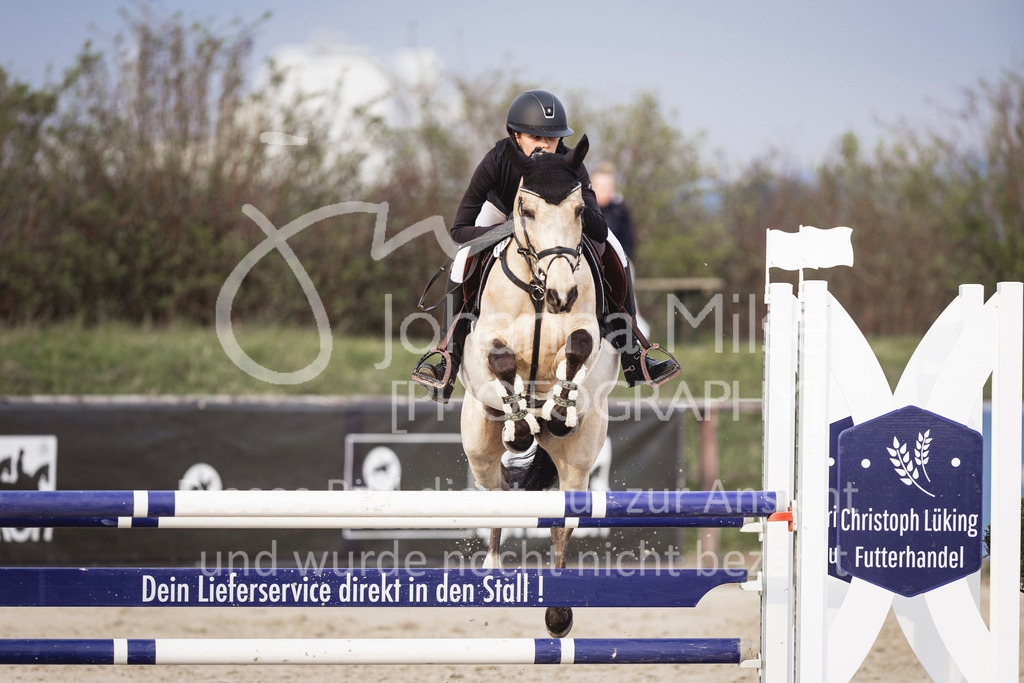 240327_Fruehlingsfest_Stil-L-1-329 | Deine schönsten Turniermomente als professionelle Fotos! Entdecke hochwertige Pferdesport-Fotografie im Online-Shop. Jetzt Fotos finden & bestellen!