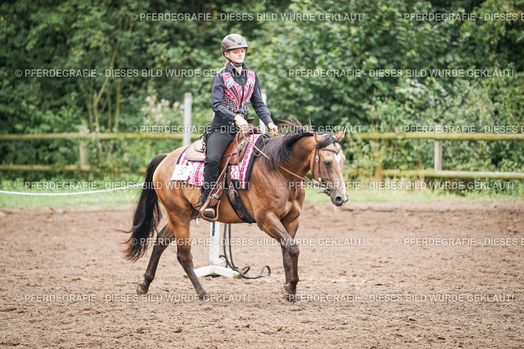 DSC02506 | Pferdegrafie