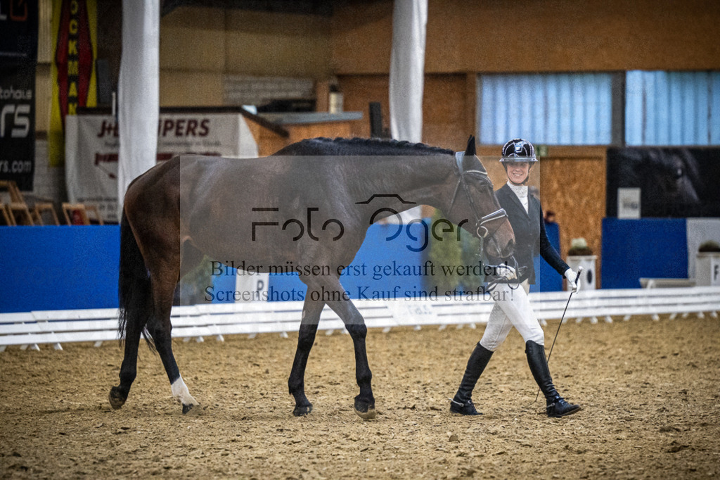 DOS_1111 | Entdecke hochwertige Reitturnierfotos von Foto Oger. Professionell, emotional und authentisch – jetzt Lieblingsmomente im Shop bestellen.Deutschlandweite Turnierfotografie. - Realisiert mit Pictrs.com