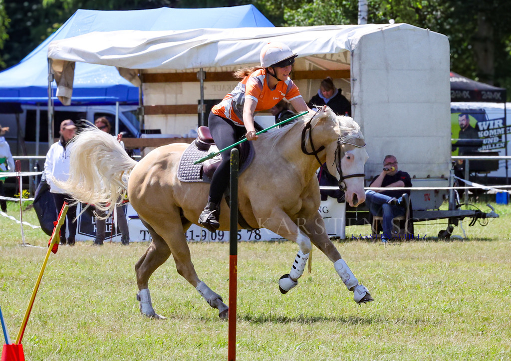 IMG_1584 | Reitsport Reiten