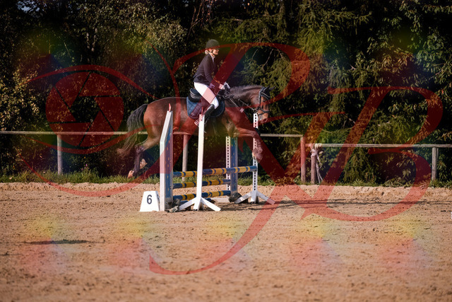 2026_10_03_Siefer-Hof_154156_Z81_59139979 | Professionelle Reitsport-, Turnier- und Eventfotografie von Robert Broda. Galerien mit ausgewählten und bearbeiteten Bildern direkt online ansehen und bestellen.