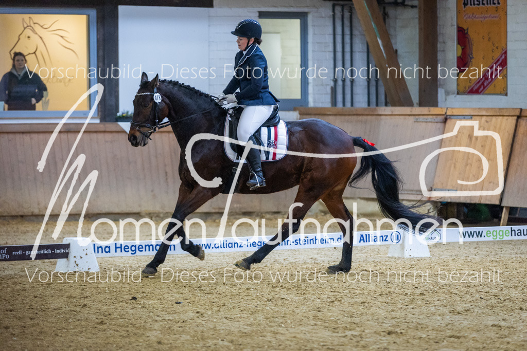 Sth-WBO25-EDr-124 | MomenTaufnahmen Pferdesportfotos