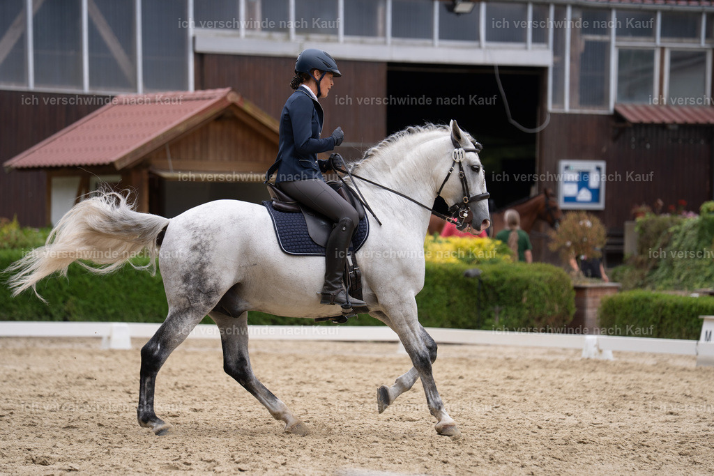 WS_DR_11_sinafilmart_IN01889 | working equitationturnier fotograf videograf stoibphotography marixx film working equitation deutschland reitsport turnierfotografie eventfotografie equestrian events