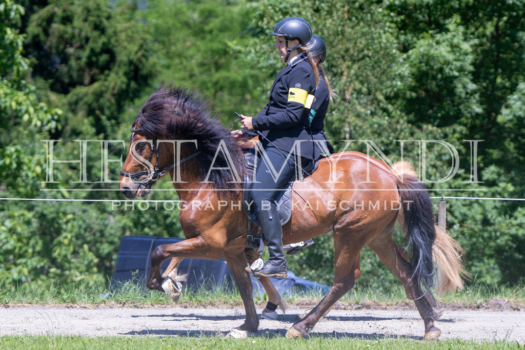 KAI08414 | Ihr sucht einen Fotografen für eure nächste OSI? Ich begleite auch euer Turnier für Islandpferde fotografisch.  - Realisiert mit Pictrs.com