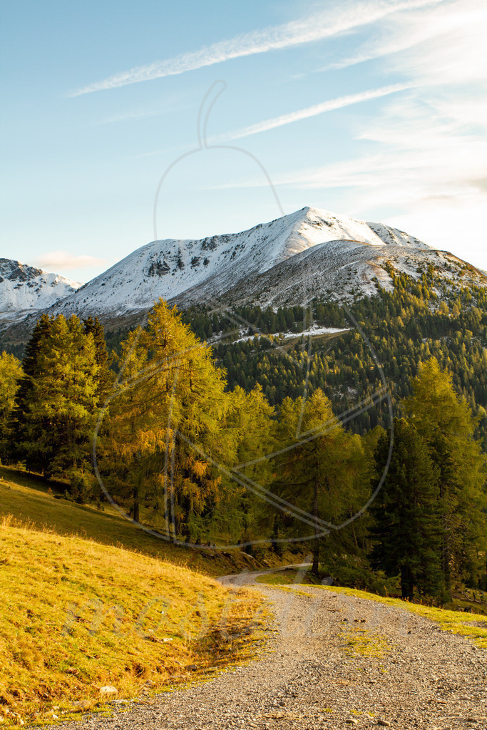 Herbstlich in Schönfeld | Bei Veröffentlichung des Bildes ist eine Namensnennung wie folgt erforderlich: 
Foto: Mostdirn Irmgard Wieser - Realisiert mit Pictrs.com