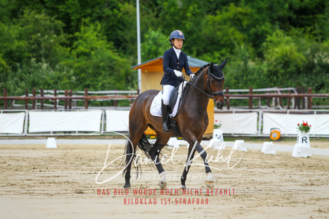 DKP46241 | Turniersportfotografie; Pferdefotografie; Dressurfotografie