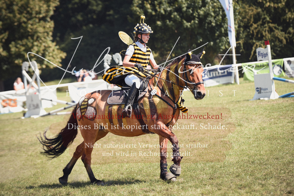 DSC_0290 | Pferde- und Turnierfotografie in Westsachsen. Pferdeportraits, Auftragszeichnungen und intuitive Kunst.