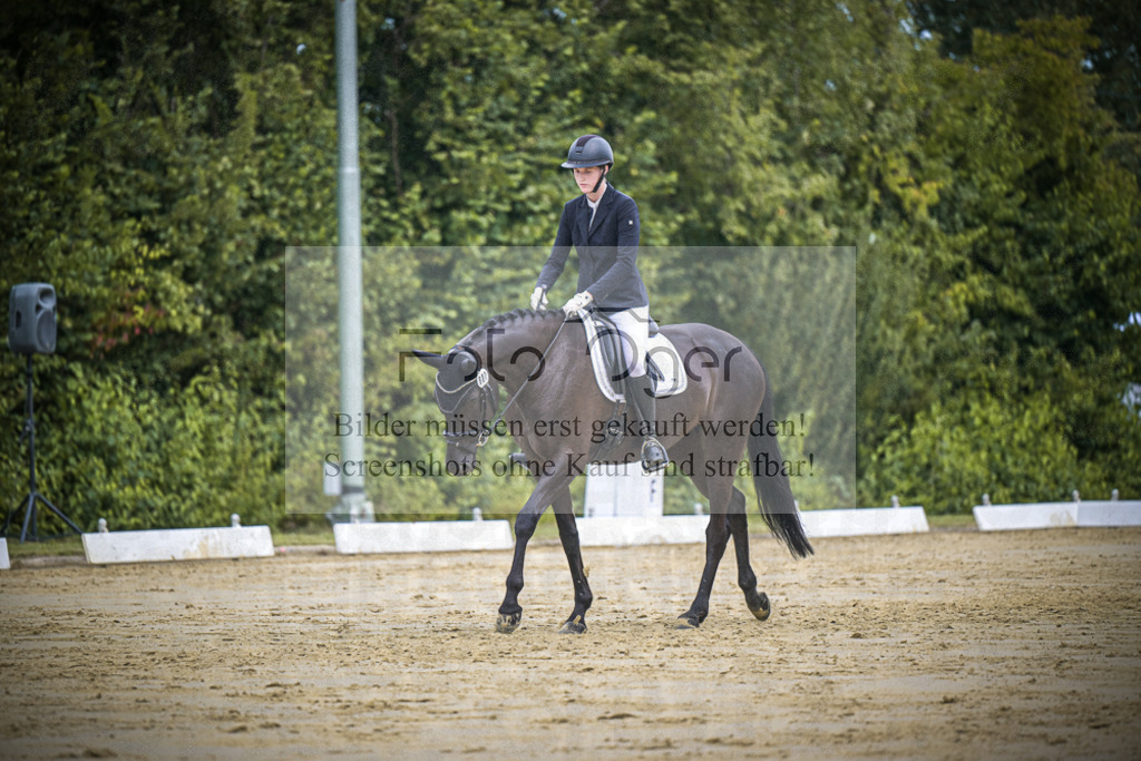 DOS_1462 | Entdecke hochwertige Reitturnierfotos von Foto Oger. Professionell, emotional und authentisch – jetzt Lieblingsmomente im Shop bestellen.Deutschlandweite Turnierfotografie. - Realisiert mit Pictrs.com